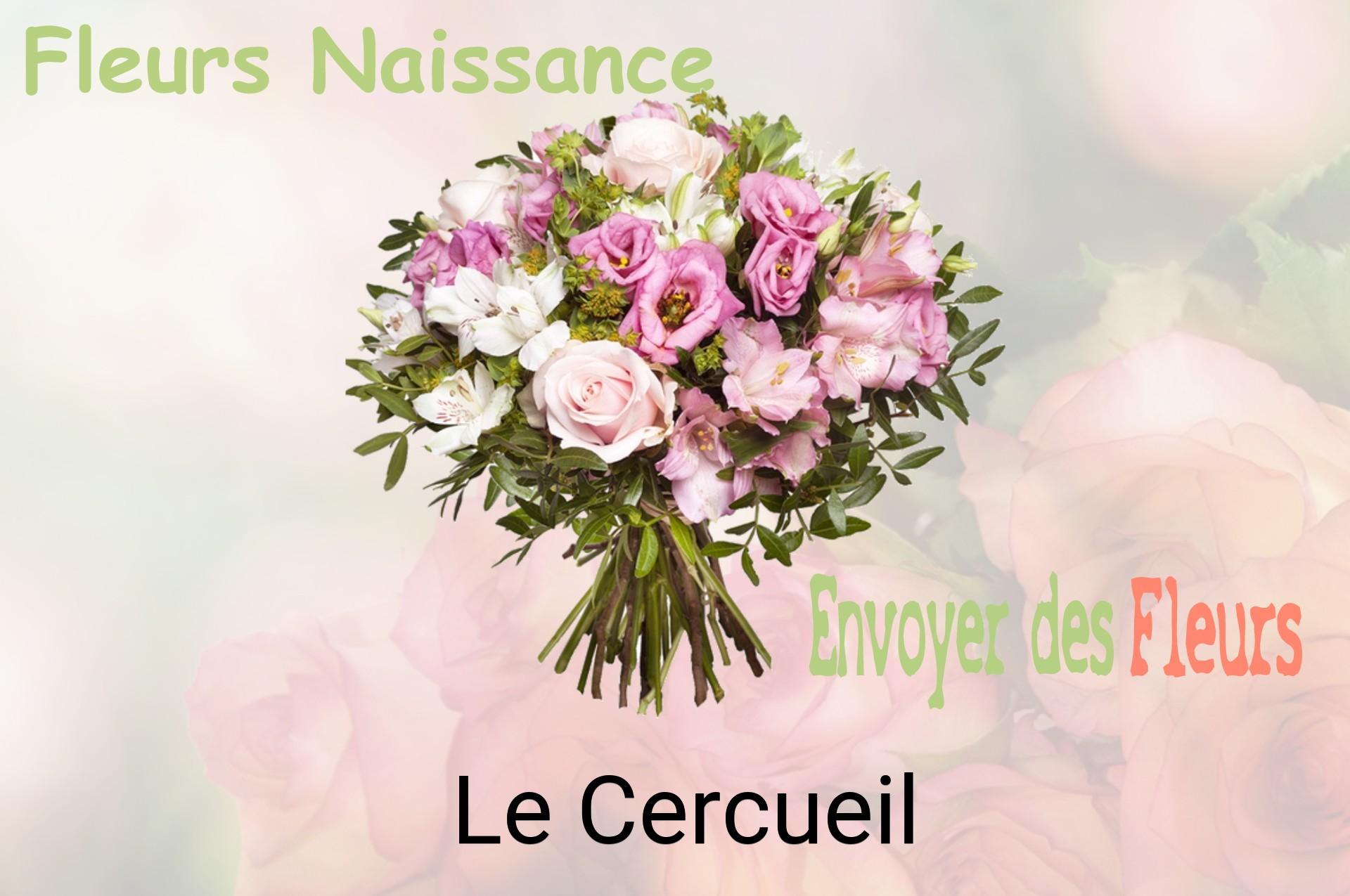 Bouquet de fleurs de naissance livré à Le Cercueil